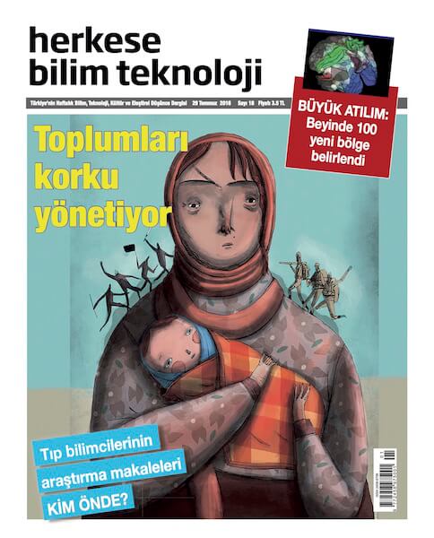 kapak