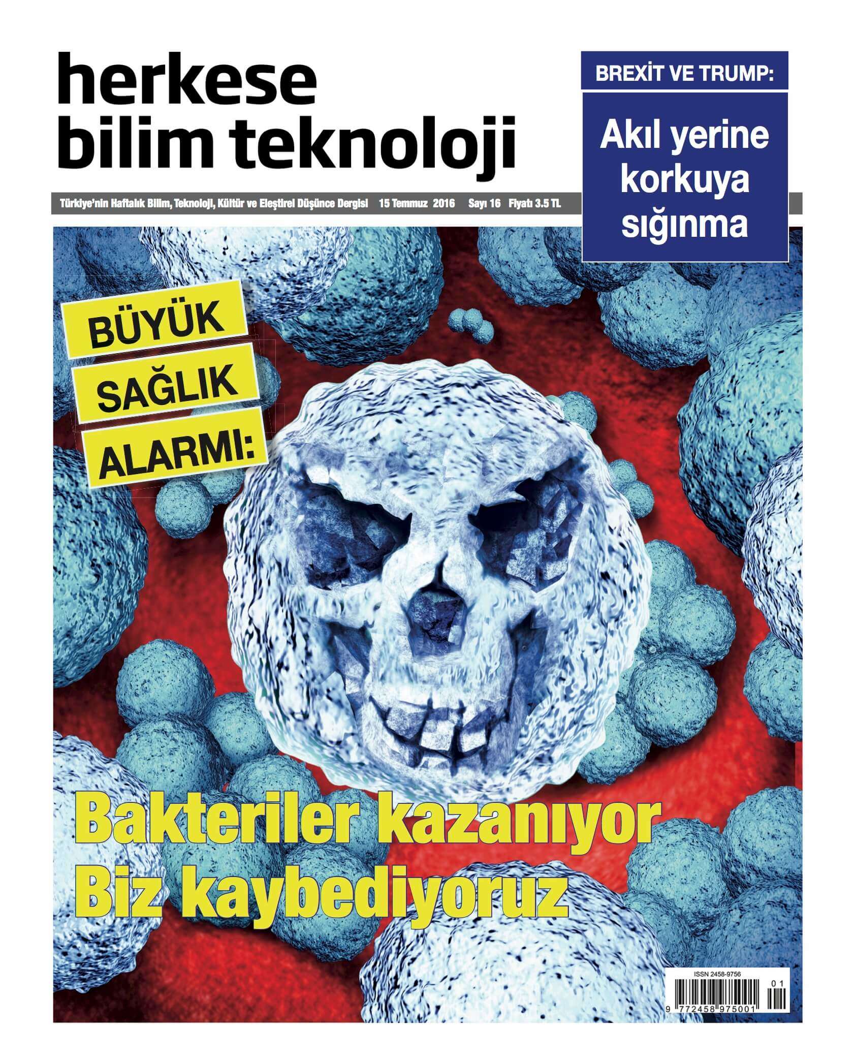 kapak-min
