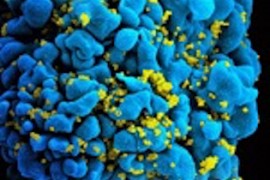 HIV virüsü, evrimin hızlandırılmış hali