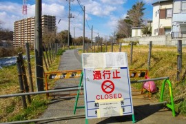 Fukuşima kazasından 5 yıl sonra bugün neler biliyoruz?