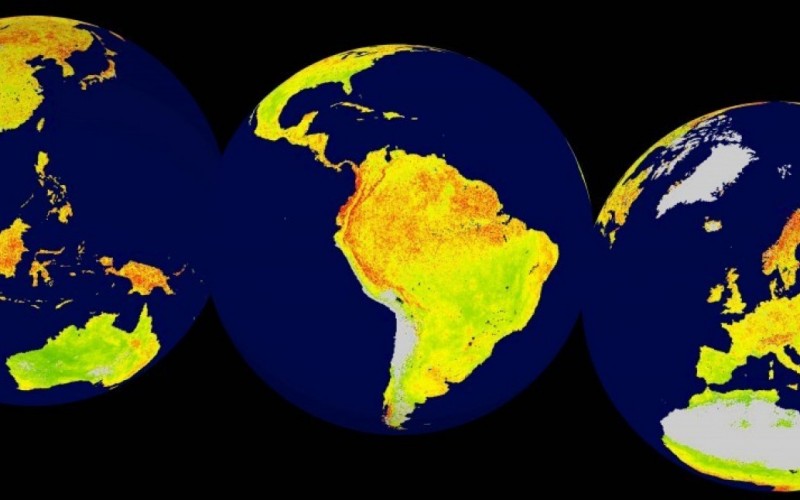Dünya üzerinde iklim değişikliğine karşı en savunmasız alanlar haritalandı