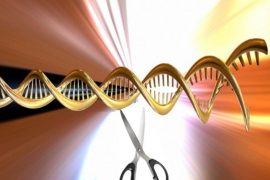 Gen düzenleme teknolojisiyle kansere karşı yeni adım