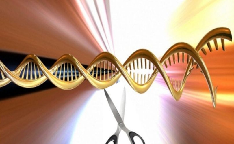 Gen düzenleme teknolojisiyle kansere karşı yeni adım