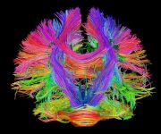 Son yılların üç önemli bilimsel devrimi ve tırtıldan kelebek olma okulu