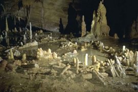 İnsanoğluna ait en eski yapılar, Neandertallerin eseri