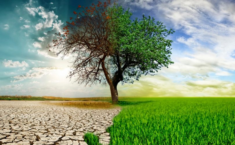 Dünya Çevre Günü: İnsanları doğa ile irtibatlamak