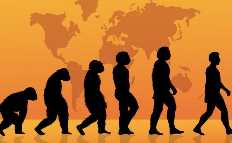 Evrim’i yasaklamak, düşünmeye ambargo koymak!