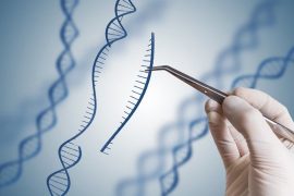 Crispr-cas9 tekniği ile farelerde hastalıkların seyri değişiyor