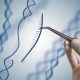 Crispr-cas9 tekniği ile farelerde hastalıkların seyri değişiyor
