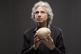 Steven Pinker: Kimlik siyaseti ‘aklın ve aydınlanma değerlerinin düşmanıdır’