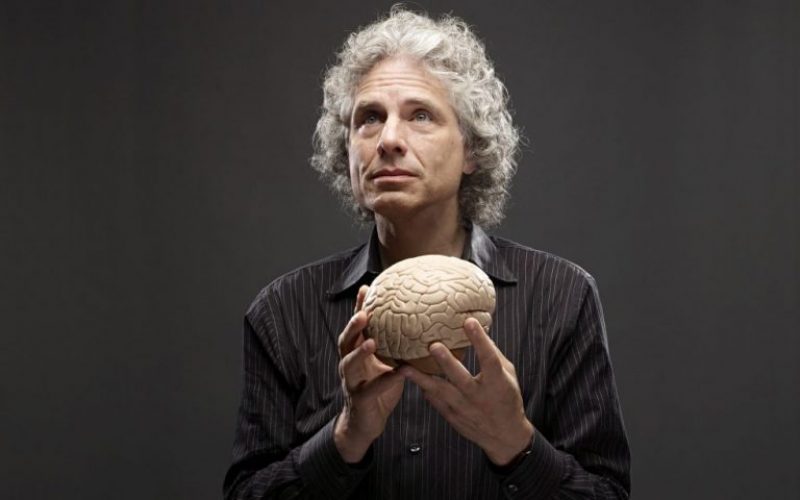 Steven Pinker: Kimlik siyaseti ‘aklın ve aydınlanma değerlerinin düşmanıdır’