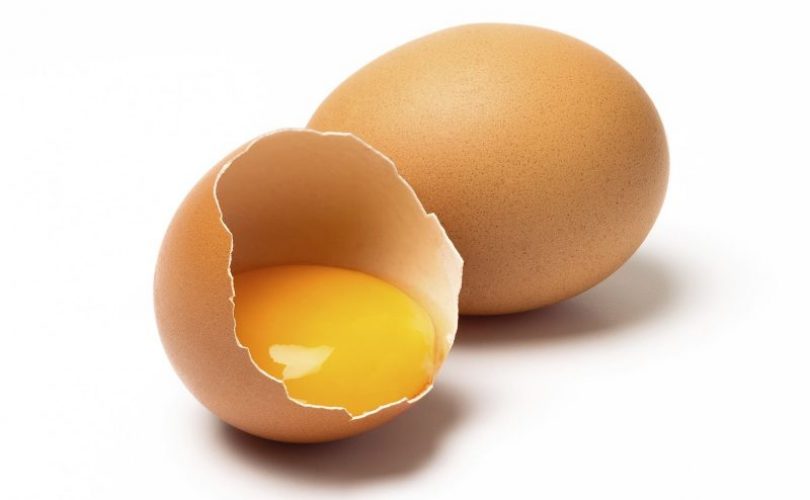 Yumurta sarısından elde edilen jeller