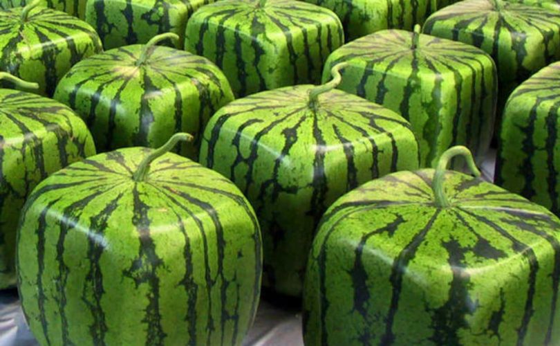Yiyecekler konusunda bilmediğiniz 10 gerçek