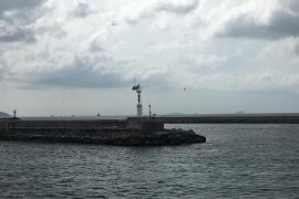 Kıyı yapılarının tasarımında rüzgâr ve dalga iklimi modellemesi