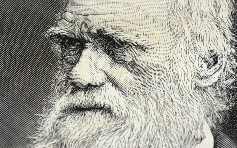Darwin’in yaşamı