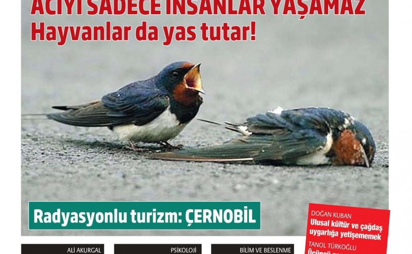 HBT Dergi 169. Sayı – 21 Haziran 2019