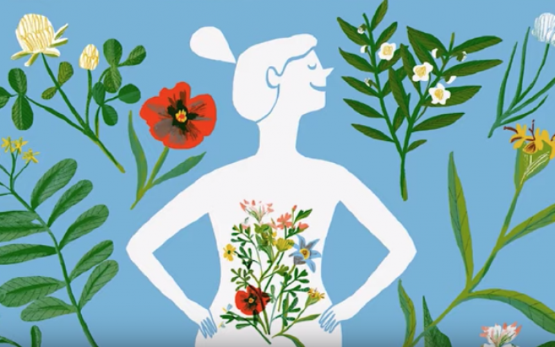 Bağırsak florası, genlerimiz üzerinde etkili