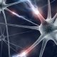 Motor nöron hastalığı (ALS) ile bağırsaktaki bakteriler arasında bağlantı olabilir