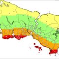 İstanbul’da deprem riski, son senaryo: Deprem en çok hangi ilçeleri vuracak ve hangi binalarda göçme olasılığı en yüksek?