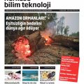 Amazon ormanları yanarken suçlu salt Brezilyalılar mı? Küresel sorumluluk nerede?
