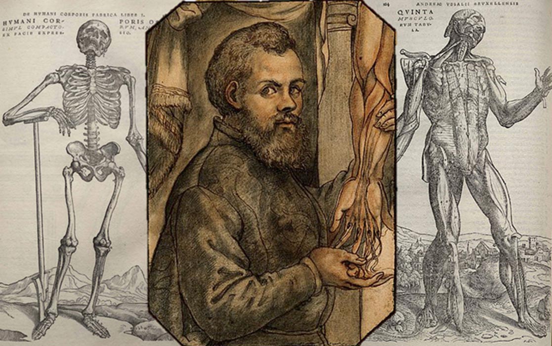 Andreas Vesalius ve modern anatominin uyanışı-2 - Herkese Bilim