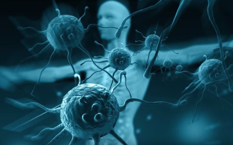 Bağışıklık sisteminizi güçlendirin ve gençleştirin: Bu başarılabilir