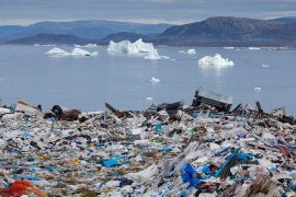 Plastik Krizi’ni sanat anlatabilir mi?