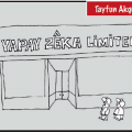 Tayfun Akgül – Yapay Zekâ Ltd.
