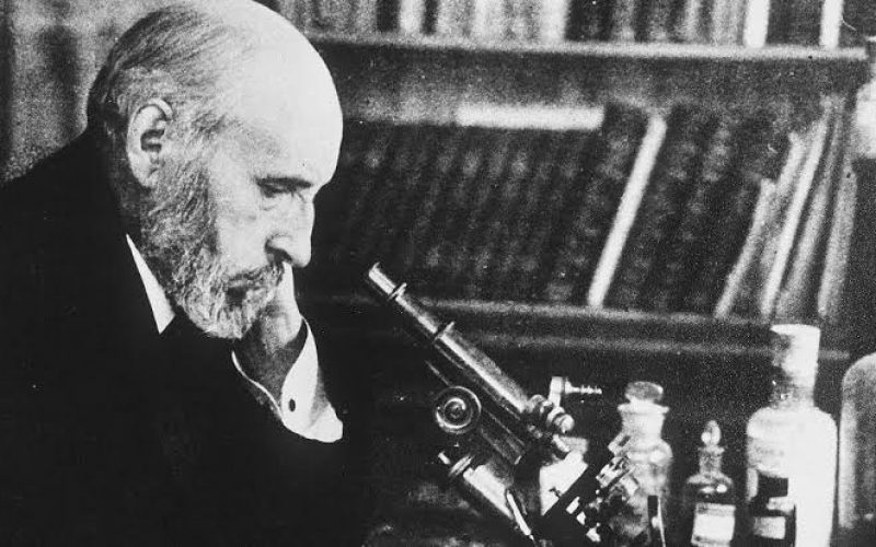 Santiago Ramón y Cajal: Bilim ve sanatın kesişiminde sinirbilimin ilk adımları