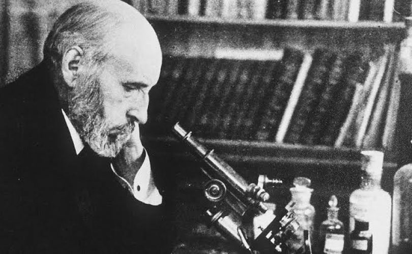 Santiago Ramón y Cajal: Bilim ve sanatın kesişiminde sinirbilimin ilk adımları