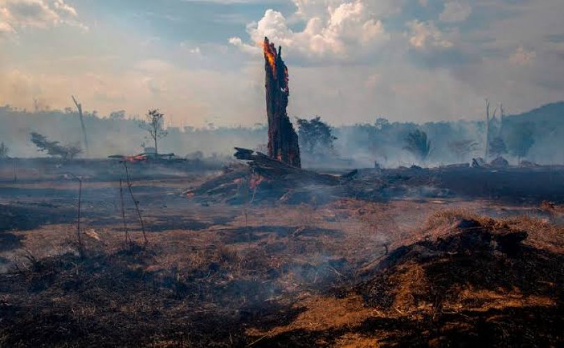 Çevrekırım, hukukta yer alır mı?