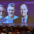 2019 Nobel Tıp Ödülü yaşamın en temel mekanizmasını keşfedenlere
