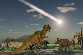 Dinozorları yok eden volkanik patlamalar değil asteroit çarpmasıydı