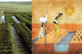 Sürdürülebilir tarım için tarihten dersler