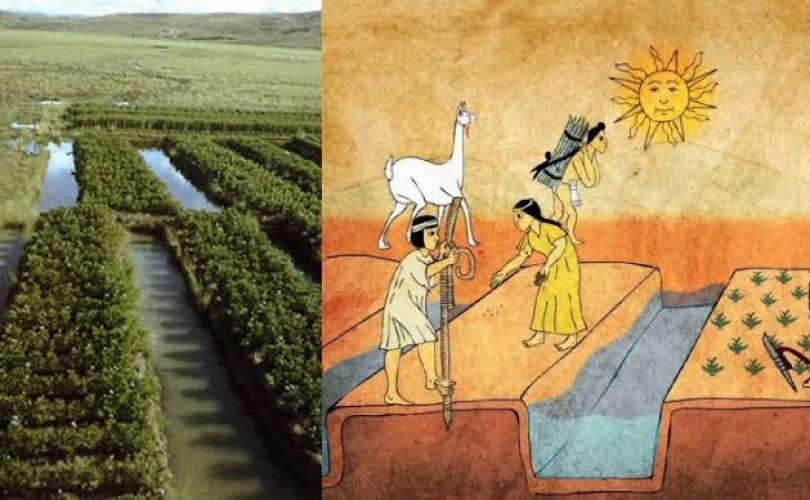 Sürdürülebilir tarım için tarihten dersler