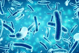 Antimikrobiyal ilaçlara dirençli organizma sayısı artıyor