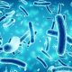 Antimikrobiyal ilaçlara dirençli organizma sayısı artıyor