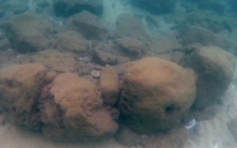 7.000 yıl önce yapılmış deniz duvarı keşfedildi