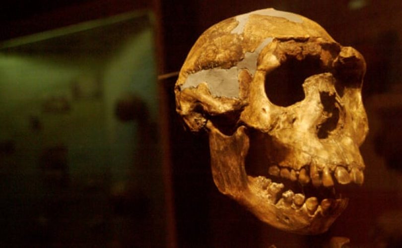Afrika’da ortaya çıkan Homo erectus Endonezya’da yok oldu