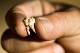 Eski insanların coğrafi kökenlerini belirlemede yeni yöntem