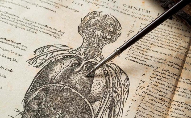 William Harvey ve Kan Dolaşımı’nın keşfi – 1