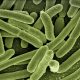 Penisilin alerjisi ‘süper bakterilere’ davetiye çıkarıyor