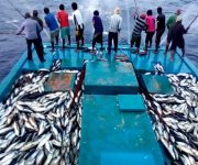 2019’un en dikkat çekici 10 araştırması