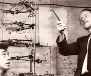 Francis Crick ve DNA’nın yapısı: Büyük bir yaşam ve dünyaya değerli katkı