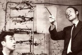 Francis Crick ve DNA’nın yapısı: Büyük bir yaşam ve dünyaya değerli katkı