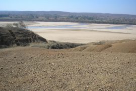 Homo sapiens büyük göçlerden binlerce yıl önce Güney Asya’daydı