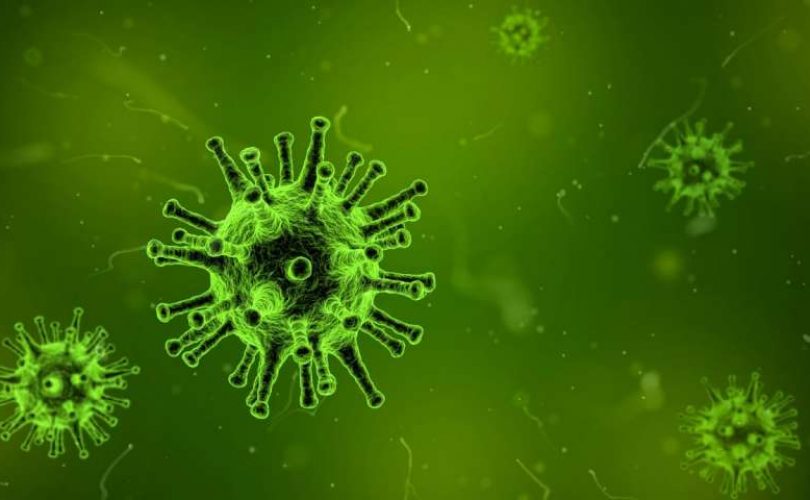 Virüslerle mücadelede yeni bir adım
