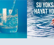 Küresel salgın koşulları hatırlatıyor: Suyun korunması ve iyi yönetimi şart