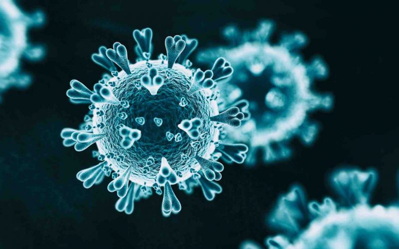 Yeni koronavirüs, ek yapısı sayesinde daha dirençli