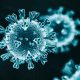Yeni koronavirüs, ek yapısı sayesinde daha dirençli